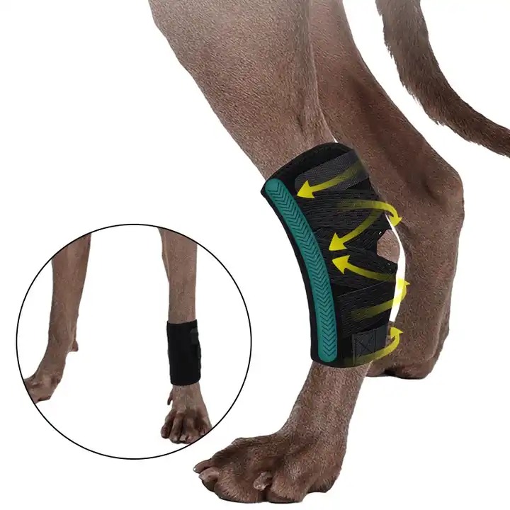 Opěra nohou psa pro podporu kotníku Rear Leg ortéza, Barvy S