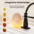 Plně automatický plochý inkubátor Fudajo pro 36 vajec, 45W inkubátor s otočným systémem, automatický inkubátor s regulací teploty a vlhkosti, inkubátor pro líhnutí vajec Fudajo | 65586