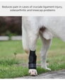 Opěra nohou psa pro podporu kotníku Rear Leg  ortéza