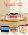 Plně automatický inkubátor pro 24 vajec s obracečem vajec, regulací teploty a vlhkosti, vhodný pro líhnutí kuřat, kachen, hus a křepelek VEVO025 | žlutý