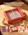 Plně automatický inkubátor pro 36 vajec s obracečem vajec, regulací teploty a vlhkosti, ideální pro líhnutí kuřat, kachen, hus a křepelek VEVO 4439824
