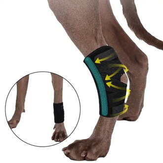 Opěra nohou psa pro podporu kotníku Rear Leg  ortéza