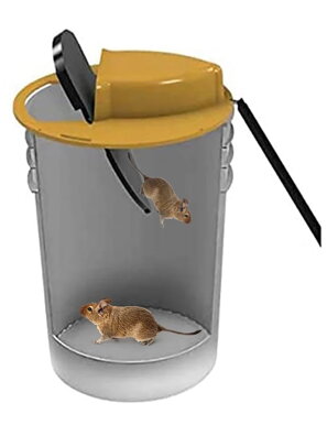 Past na krysy a myši Mousetrap