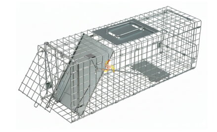 Sklopec past na kuny hlodavce a jiná zvířata XL | Q25D