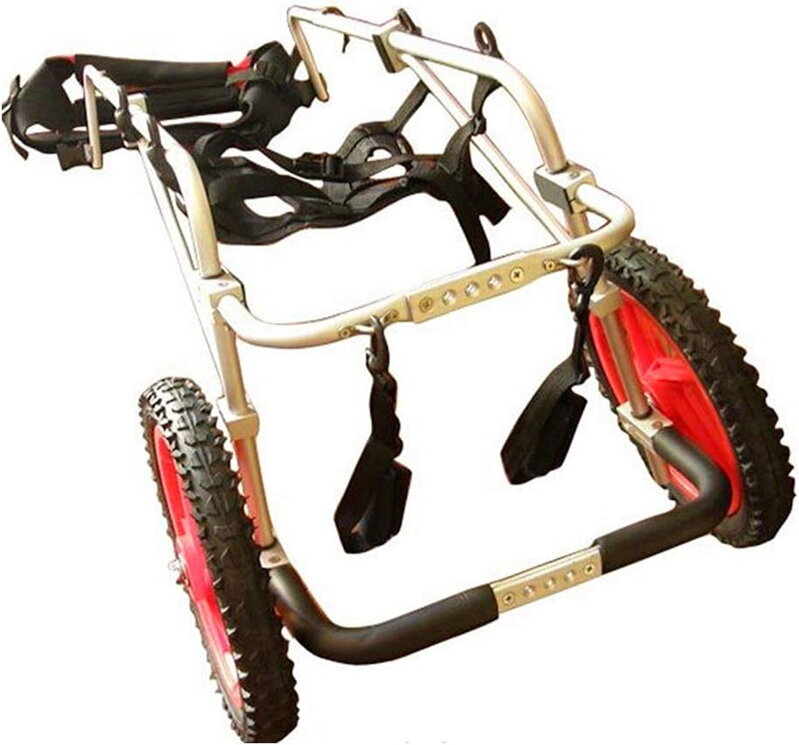 Invalidní vozík pro psa | HWhome 2026