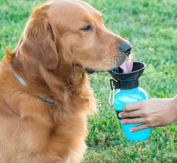 Cestovní láhev na vodu pro psy InnovaGoods Home Pet! 