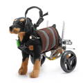 Invalidní vozík pro psa 